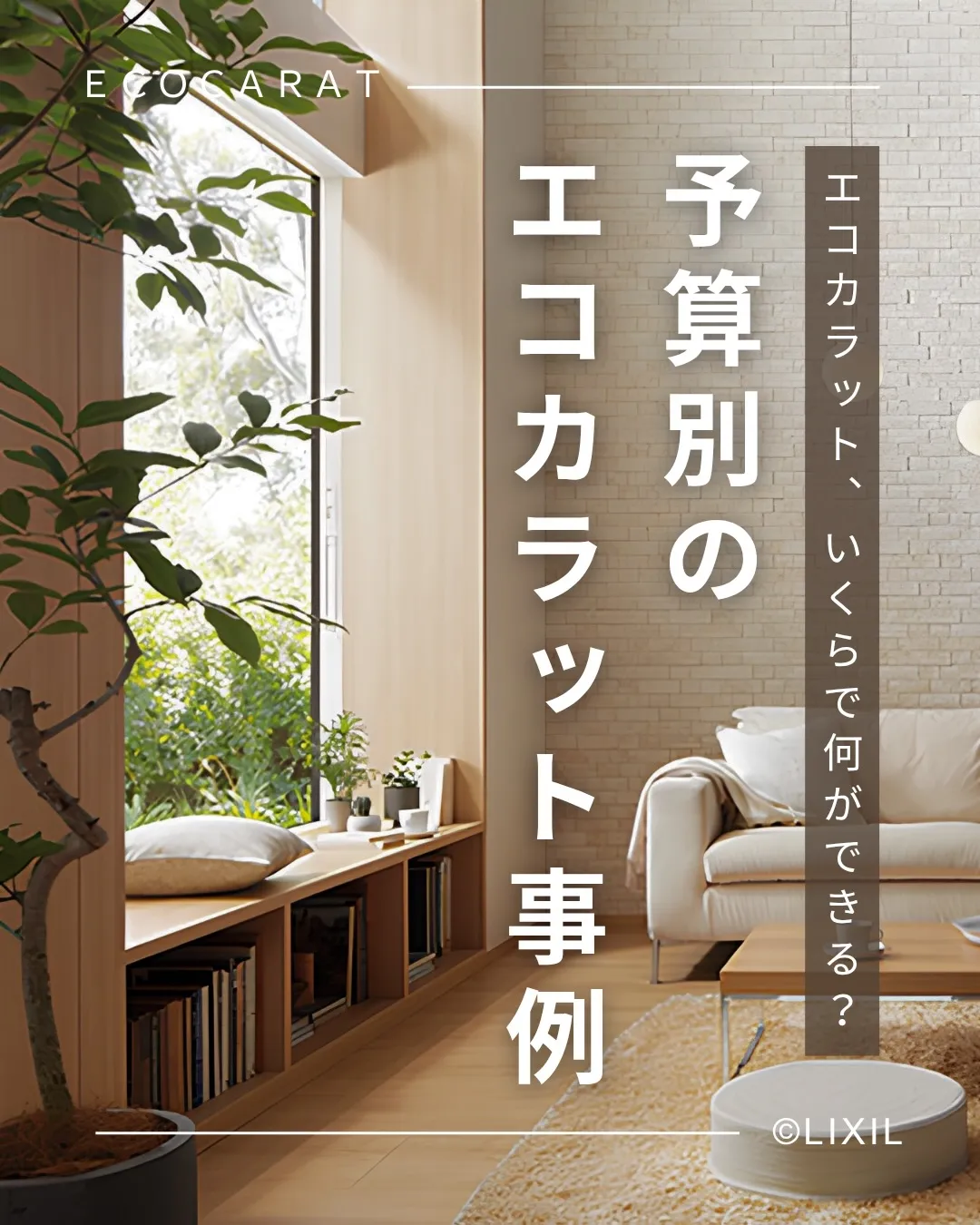 他の投稿を見る▽