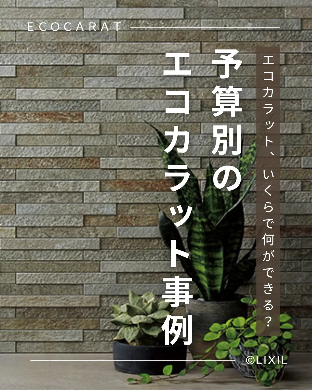 他の投稿を見る▽